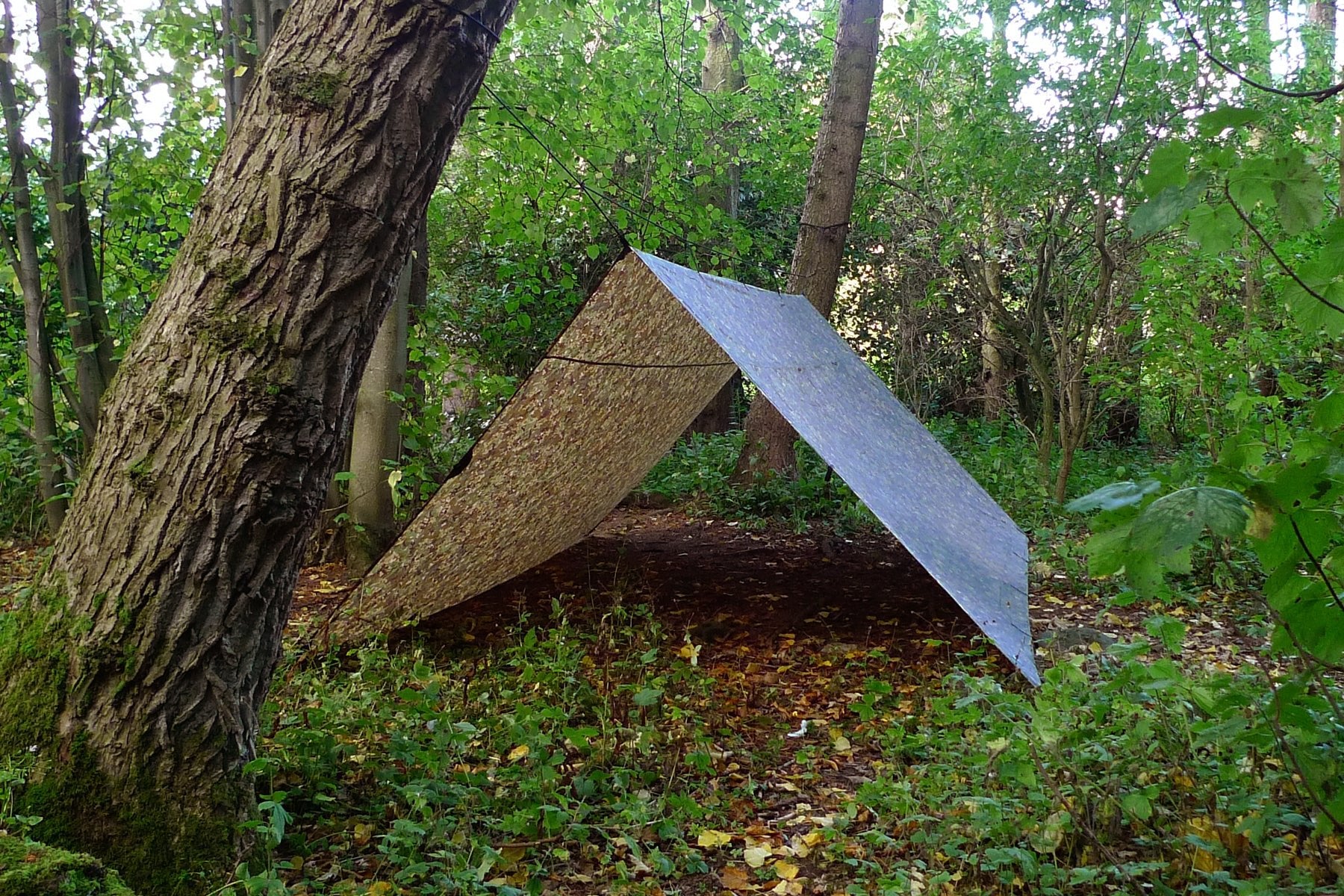 DD Tarp 4x4 meters - Image 4