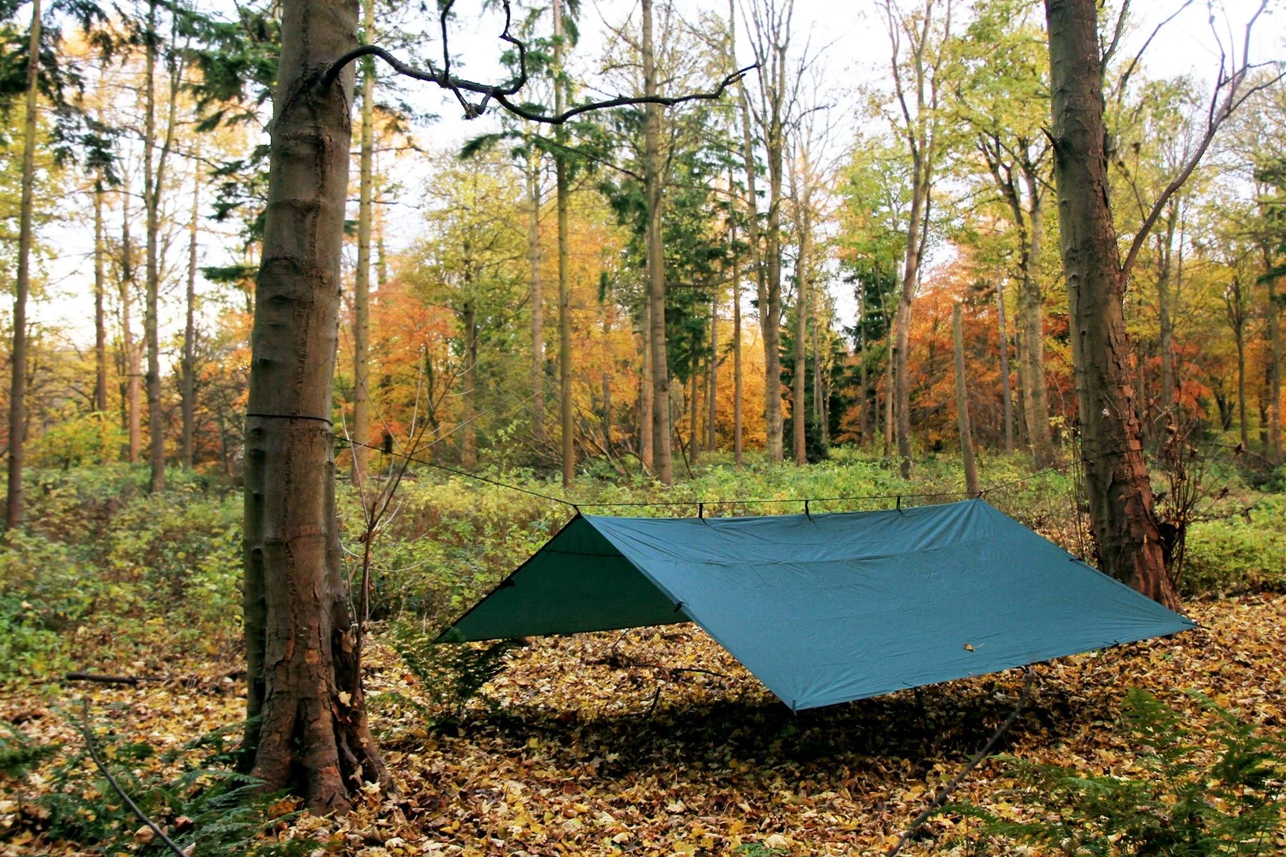 DD Tarp 4x4 meters - Image 9
